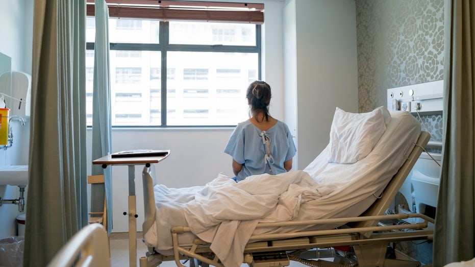 Hantavirus in the US: Where the rare, sometimes deadly disease has been found Sunshine Coast Accountants